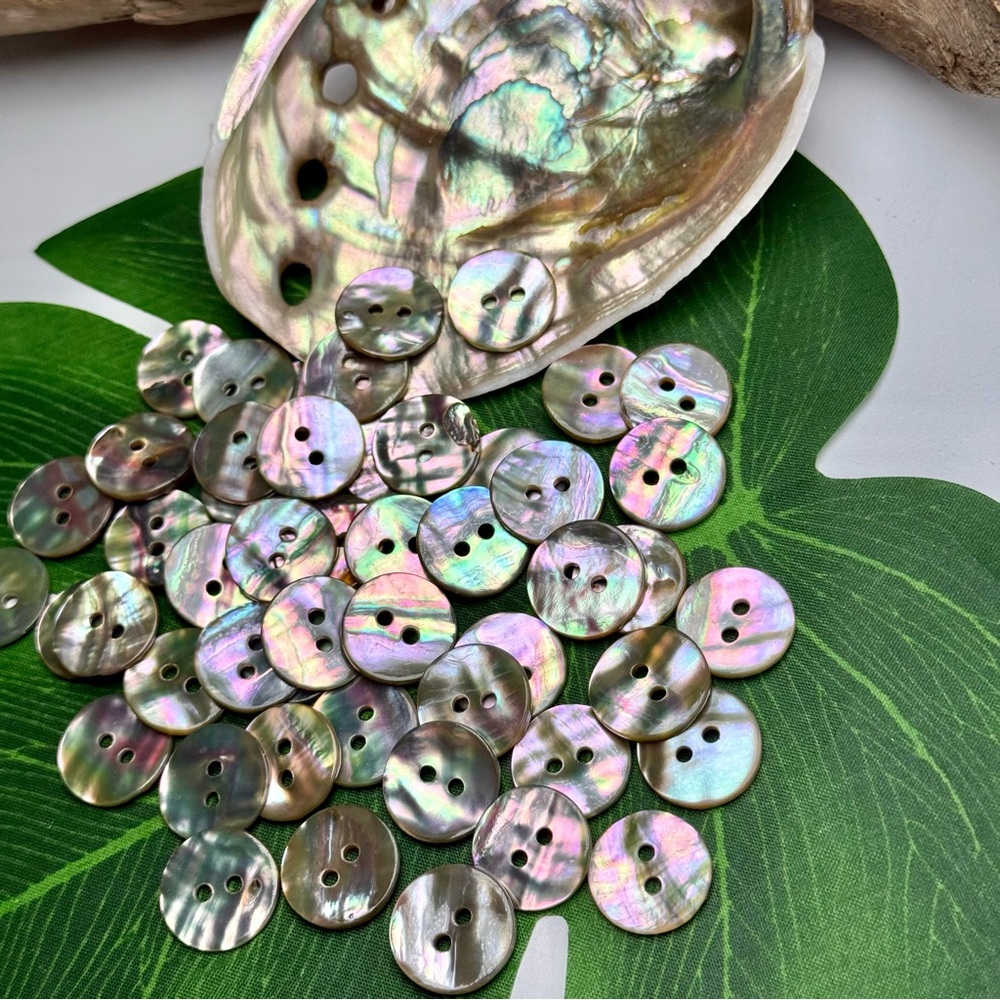 NEW! Real PAUA ABALONE SHELL BUTTON BEADS CHARMS DIY JEWELRY CRAFTS SEWING LOT